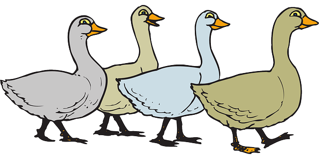 Rajzos vidám libák libasorban menetelnek balról jobbra, Kép: pixabay