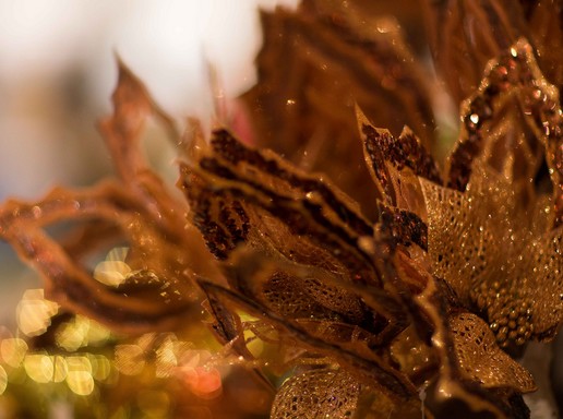 Arany-barna levelek, karácsonyi díszek, Kép: KIKA
