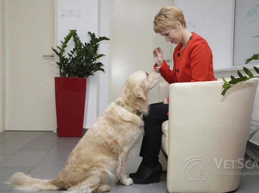 D. Tóth Kriszta az állatorvosi rendelőben, egy fotelban ülve beszélget kutyájával, Kép: VetScan