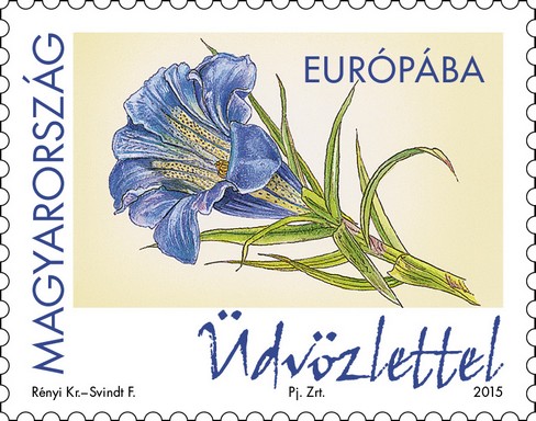 Száratlan tárnics, kék virág Üdvözlettel feliratú bélyeg Kép: Magyar Posta   
