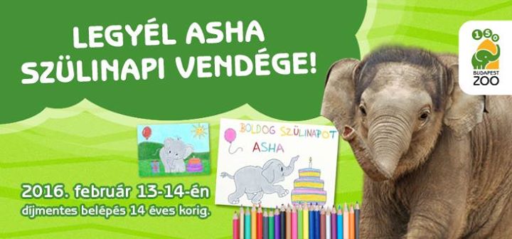 Asha elefántborjú születésnapi plakátja