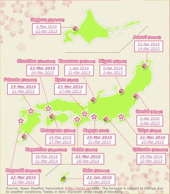 Térképes Sakura-előrejelzés