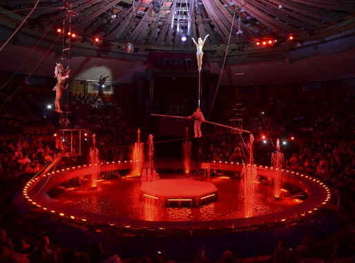 Vízi cirkusz, totál, Kép: Fővárosi Nagycirkusz