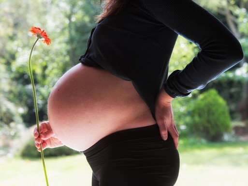 Terhes kismama hasa, kezében virágot fog, Kép: pixabay