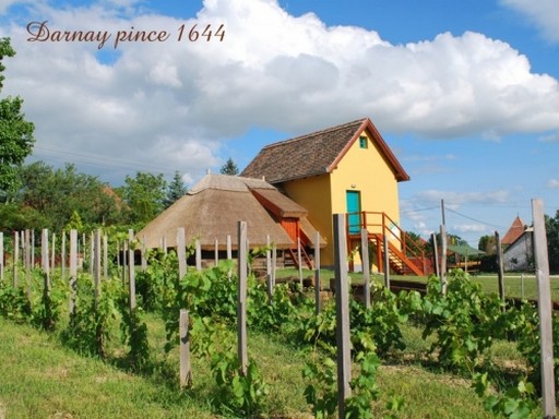 Darnay pince, előtte szőlőtőkék, Kép: Darnay