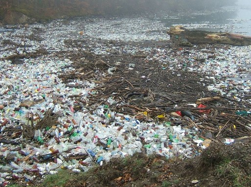 Műanyagszemét a természetben, Kép: sajtóanyag
