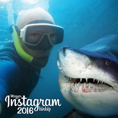Tengeri szelfi - búvár fotózik, miközben jön egy cápa, Kép: sajtóanyag