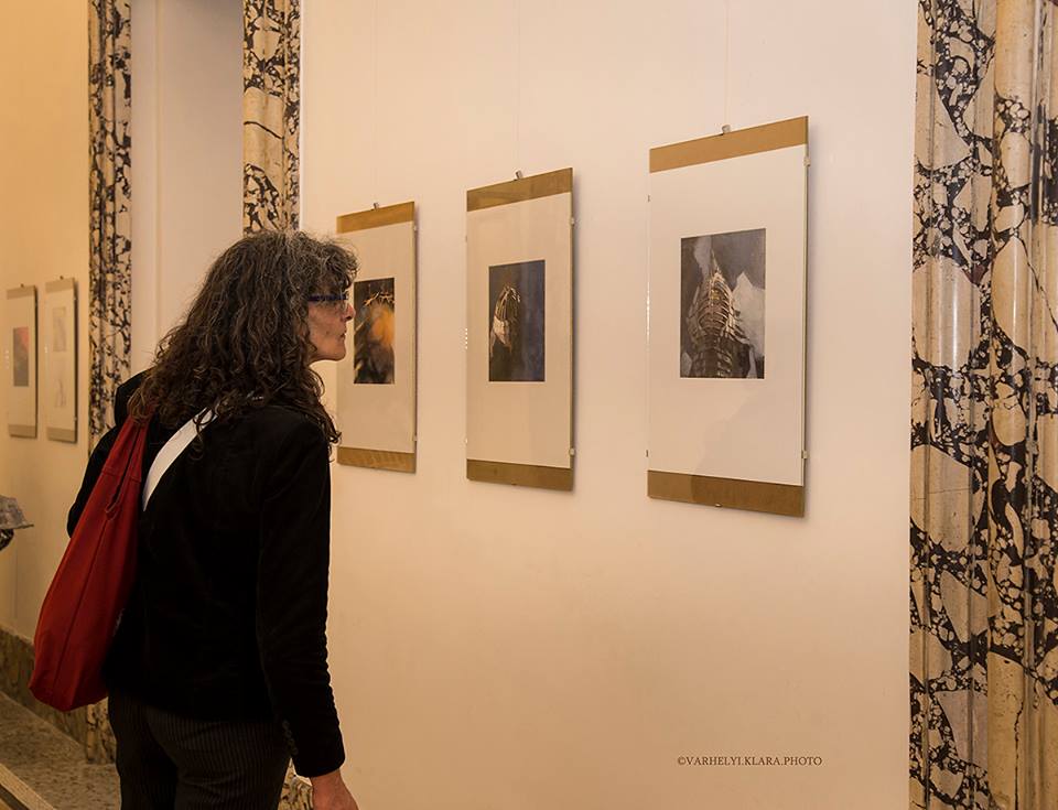Bachman Zoltán kiállítása Rómában, egy látogató nézi a képeket, Kép: sajtóanyag