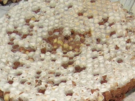 Méhkaptár, közeli felvétel, Kép: Élelmioszervizsgálati Közlemények