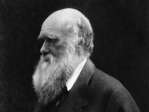 Charles Darwin, Kép: wikimedia