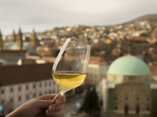 Pécs és bora, Kép: Via Gasztronómia