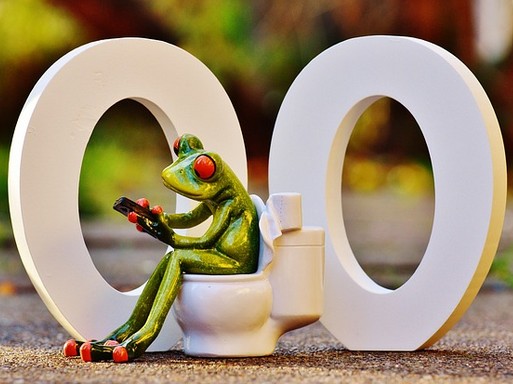 Béka a WC-n, Kép: pixabay