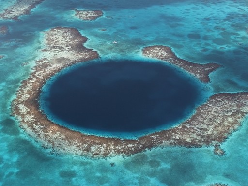 Belize, korllzátony, Kép: WWF