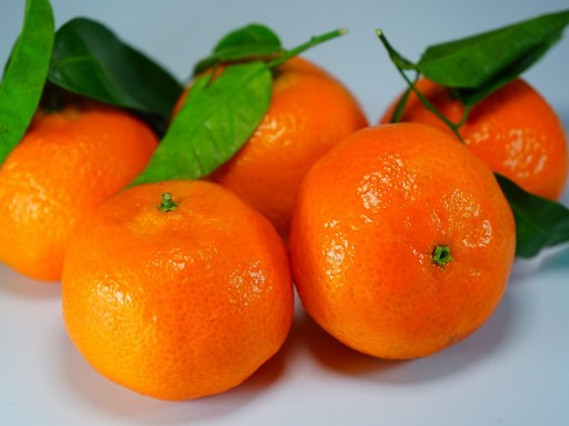Mandarin, Kép: pixabay