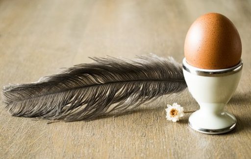 A sonka legjobb barátja a tojás, Kép: pixabay.com