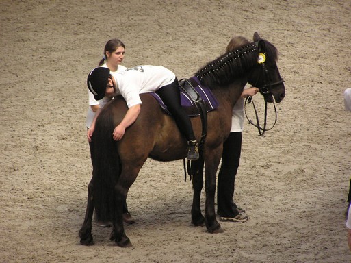 Lovasterápia, kidfiú fordítva ül a lovon, Kép: wikimedia