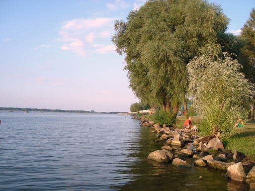 Tisza-tó, Kép: wikimedia