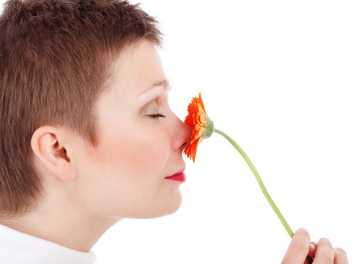 Virágot szagoló nő, Kép: publicdomainpictures