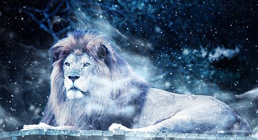 Az oroszlán őszinte jegy...Kép: Pixabay