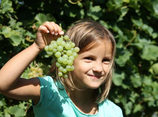 Kislány szőlővel, Kép: Bujdosó Pincészet