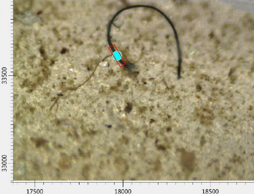 Mikroműanyag a mikroszkóp alatt, Kép: WESSLING