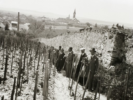 Mór látképe a Hársfa utca fölötti szőlőkből, a múlt századból, Kép wikimedia
