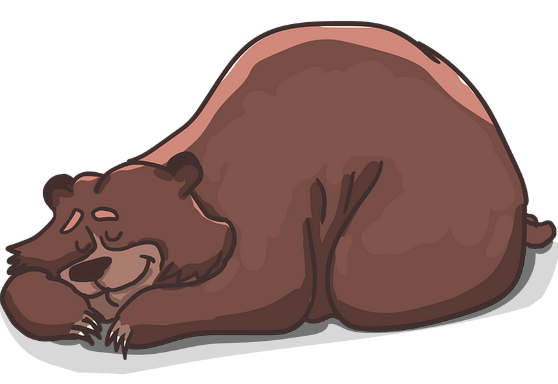 Alvó medve, rajz, Kép: pixabay