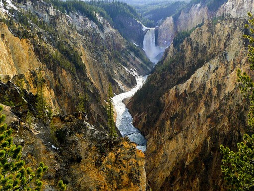 Yellowstone Nemzeti Park, Kép: Good Free Photos