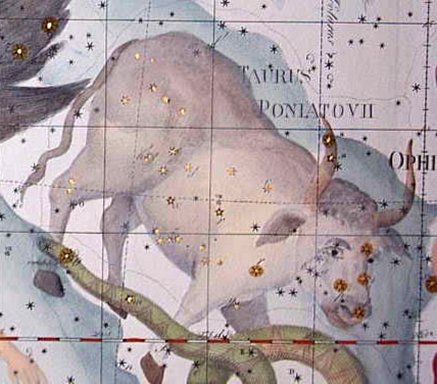 Bika csillagjegy, Kép: wikimedia