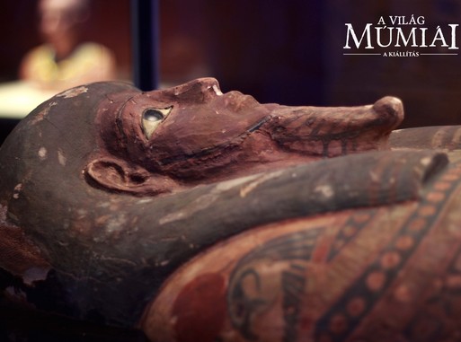 Egyiptomi múmia, Kép: sajtóanyag