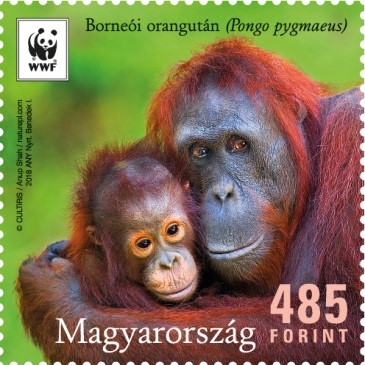 Orángutánék bélyegen, Kép: Magyar Posta