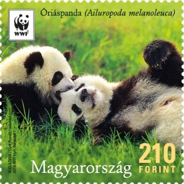 Panda család bélyegen, Kép: Magyar Posta