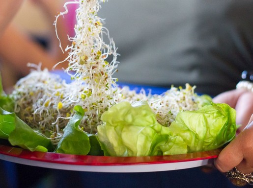 Csírás saláta, Kép: Vegán Fesztivál