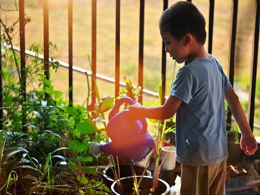 Kisfiú öntözi a növényt, Kép: Megyeri Szabolcs