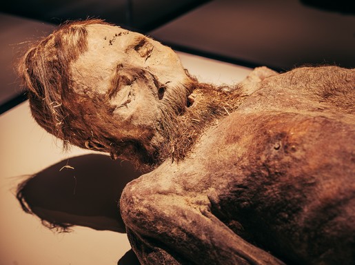 Edélyi múmia közeli új, Kép: sajtóanyag