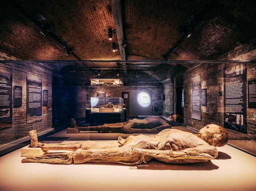 Erdélyi múmia új, Kép: sajtóanyag