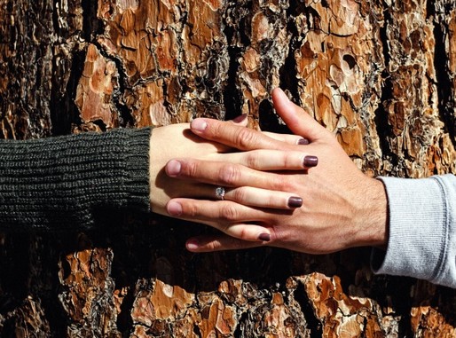 Szerelmes kezek, Kép: pixnio