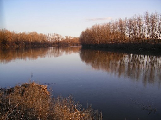 Kis-Duna, Kép: Wikipedia