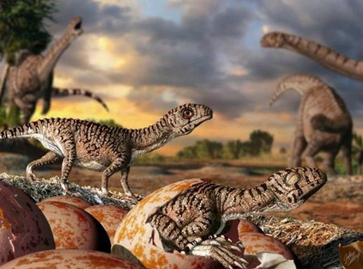Lufengosaurus-tojáshéjtöredékek, Kép Julius Csotonyi 